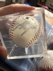 Anthony Volpe Autographed Baseball New York Yankees