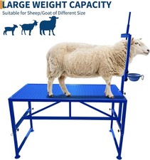 GRAVEE Goat Stand Feed Bin Milking Stand for Sheep Hoof Trimming Livestock Table