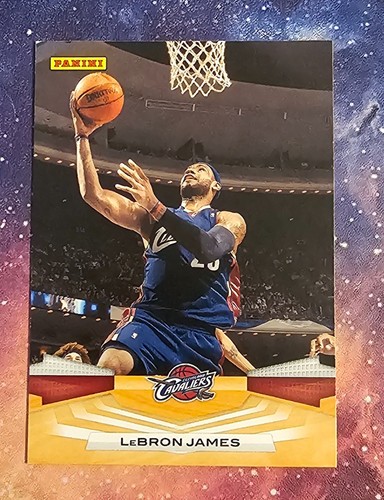 LeBron James #64 2009 Panini card