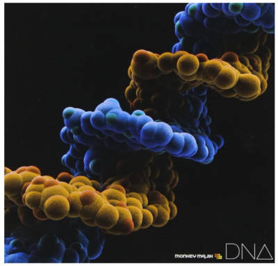 DNA [CD+DVD] MONKEY MAJIK 13 songs included J-POP CD Album Limited Edition New