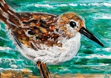 ORIGINAL ACEO Painting SANDPIPER Beach Waves OCEAN BIRD Sea Shore Bird ATC ART