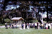 1970s 35mm COLOR SLIDE~SAN FRANCISCO SUTRO HEIGHTS GROUNDS GAZEBO&WEDDING PARTY