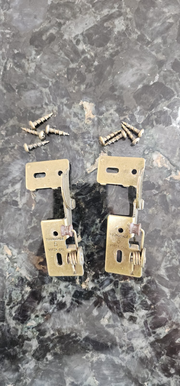 2 Youngdale Hinges Door Model 5 Antique Brass Finish 8
