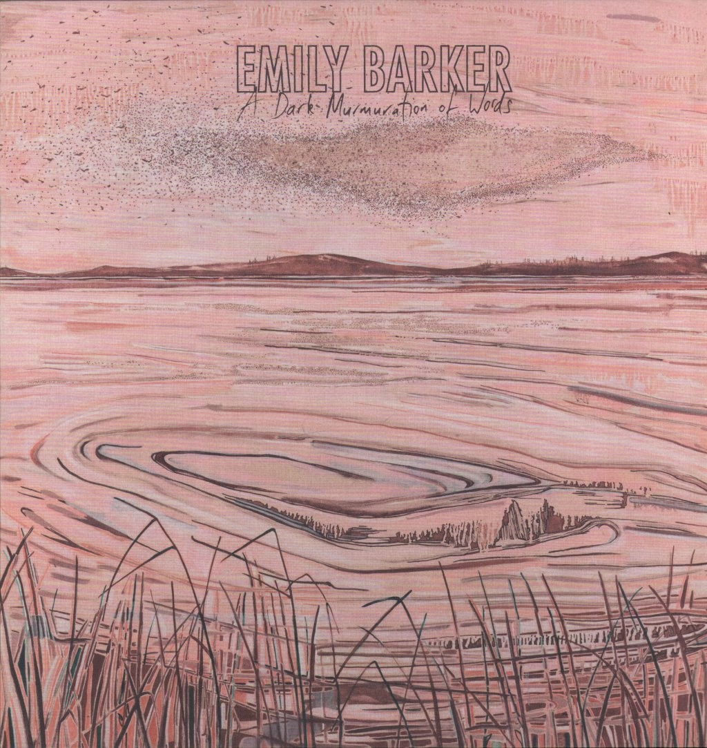 Emily Barker A Dark Murmuration of Words LP vinyl UK Everyone Sang 2020 limited