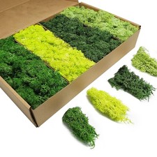 Preserved Moss 4 Color Reindeer Craft Moss, Total 14 OZ Each Color 3.5 OZ, Fa...