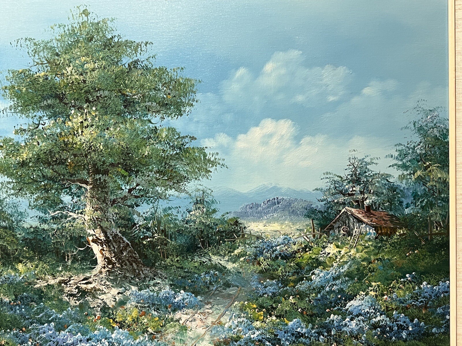 Picture 2 of 19