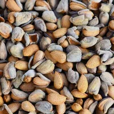 In-Shell w/HUSKs Almonds ~ North California Grown~Raw WHOLE Bulk* 1-15 LBS