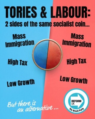 ''Reform Großbritannien (Brexit-Partei) Wahlkampfplakat 30 - 8'''' x 12''