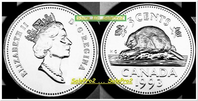CANADA 1993 CANADIAN BEAVER NICKEL QUEEN ELIZABETH OUT OF ROLL 5