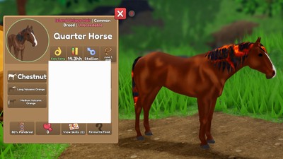 IUH - Quarter Horse - Volcanic Orange