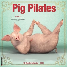 Pig Pilates 2026 12 X 12 Wall Calendar (Bookbook - Detail Unspecified)