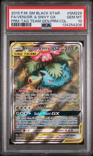2019 POKEMON SM BLACK STAR PROMO SM229 VENUSAUR & SNIVY GX TAG TEAM PSA 10