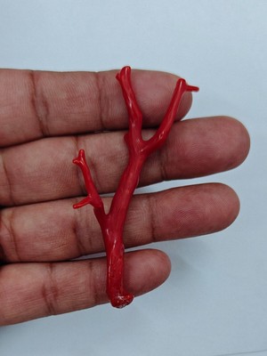 100%Natural Red Coral Loose Rough Gemstone Italian Coral Polished Rough Branch