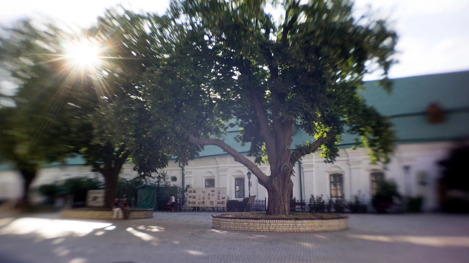 TILT ARTHOUSE FREE LENS F/3.5 28mm MICRO 4/3 MTF OLYMPUS PANASONIC LENSBABY TYPE - Image 3 of 4