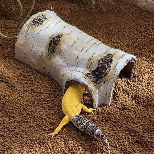 Reptile Hides Caves Birch Tree Bark Trunk Habitats Aquarium Fish Tank Decor Wood - Picture 4 of 21