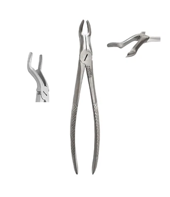 Dental Pliers Stainless Steel Dental Extracting Forceps Fig 67 Dentist Tools - Image 1 of 4