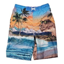 OP Swim Board Ocean Pacific Shorts Teen Side L Large 10/12 Dinosaur Drawing