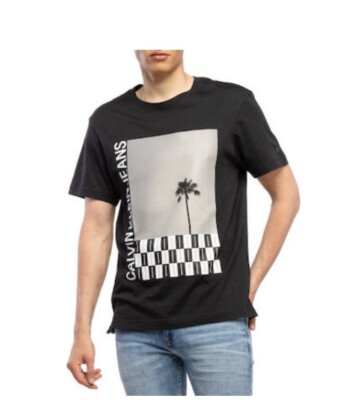 PALME PHOTO REL T-SHIRT ΑΝΔΡΙΚΟ CALVIN KLEIN Gr. L 26,99