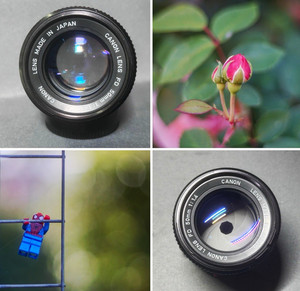 Canon FD 50mm F1.4 fast prime Manual Focus Lens + Caps Sample Pictures