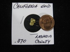 CALIFORNIA GOLD NUGGET .370 GRAM NEVADA COUNTY 6808.30 per troy oz