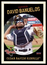 2019 David Banuelos Choice Minor League RookieTwins Cedar Rapids Kernels