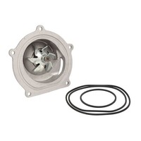 Wasserpumpe SKF Vkpc 87813