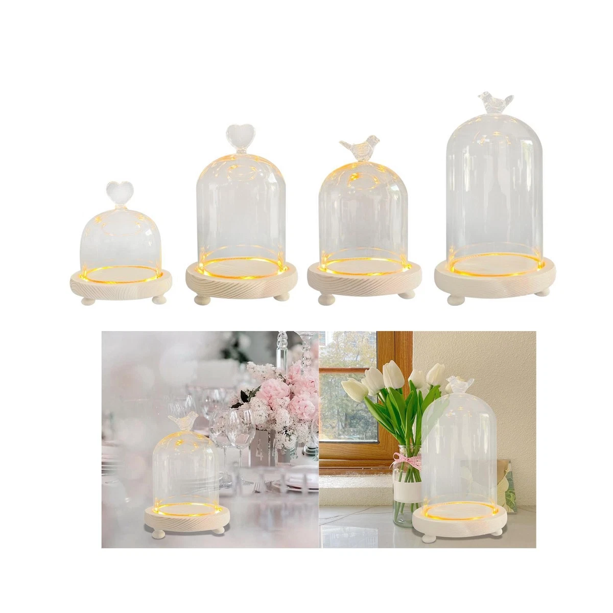 3x Verre Présentoir Cloche Cloche Cloche Dôme Couverture Fleur Préservation Bois - Maison 3x Verre Présentoir Cloche Cloche Cloche Dôme Couverture Fleur Préservation Bois - Maison