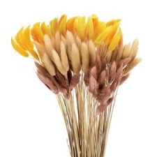 120Stk. Nat&uuml;rliche Hasenschwanz-Blumen 17" Beige/Knallorange/Dunkelbraunrot