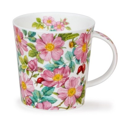 Dunoon Tasse Beautiful Blooms Wild Roses Heckenrose 0,48 Cairng. fine bone china
