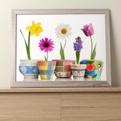 Blumen - schöne hübsche! : 10''x8'' Professional Photo