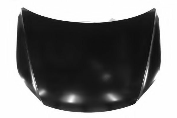 Hood For VW Tiguan 09.2007-04.2011