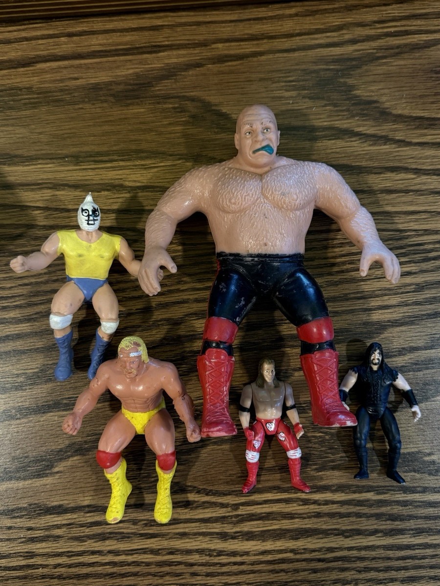 Lot (5) VTG WWF & WCW Wrestling Action Figures Hulk Hogan Animal