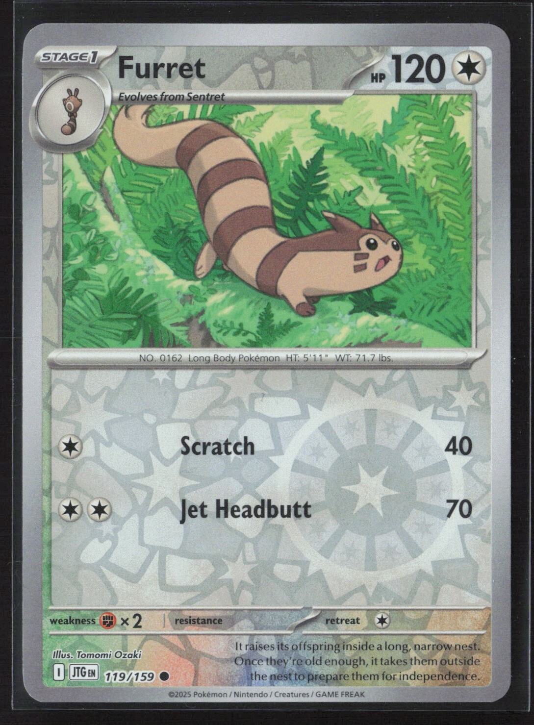 Pokemon TCG Journey Together 119/159 - Furret - Reverse Holo NM