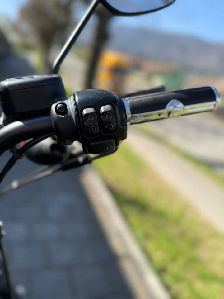 Harley Davidson Iron 883N - Bild 4 von 4