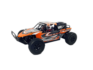 auto radiocomandata elettrica