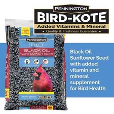 Black Oil Sunflower Seed Dry Wild Bird Feed 40 lb Bag 1 Pack
