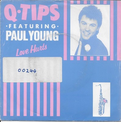 Q Tips - Love Hurts - Used Vinyl Record 7 - G8100z