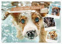 "Calendar 2027 · US Version · Dogs And Water (Wall Calendar 2027 17\" × 12\" Landsc"