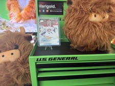 2019-20 Upper Deck Young Guns Cayden Primeau #454 RC Toronto Maple Leafs