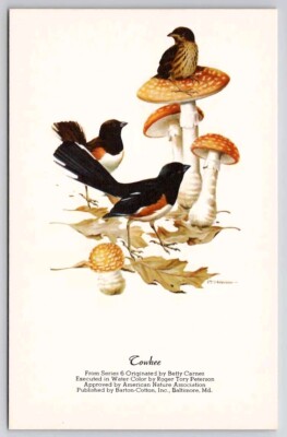 Are Mushroom Birds Real 