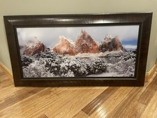 David West Photography            Framed Print Of His Winter Patriarch. AP 10/40