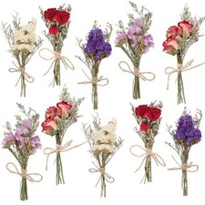 10 Pack Mini Dried Flower Bouquets with Stem for Vase DIY Decor, Forget Me Not