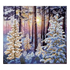 Bead Embroidery Kit Winter dawn Bead stitching Beadwork DIY VDV