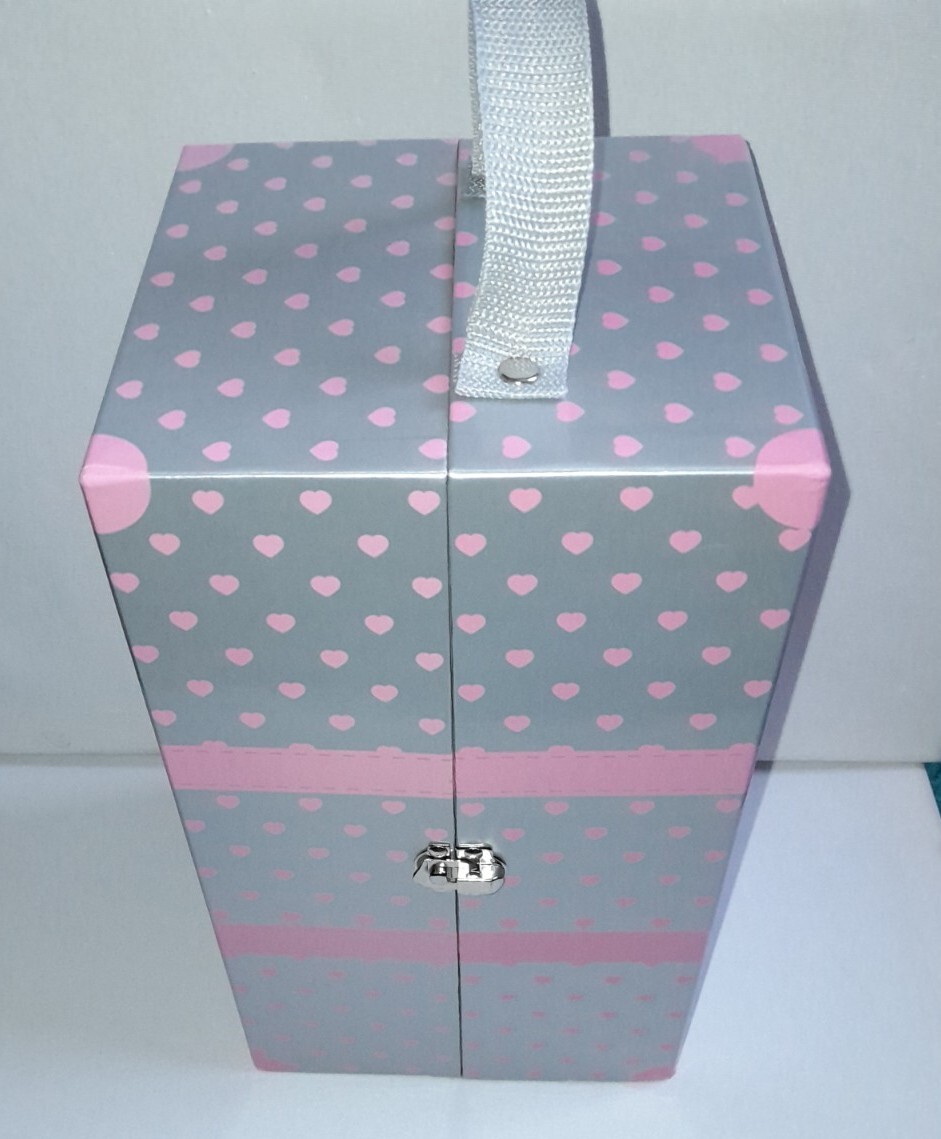 DesignaFriend Doll Foldout Wardrobe Carry Case 5 Hangers Our Generation