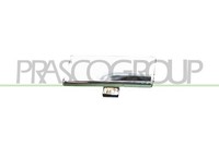 Prasco ME8281286 Abdeckung Zughaken StoßStange Hinten Verchromt Mod. Amg Mercede