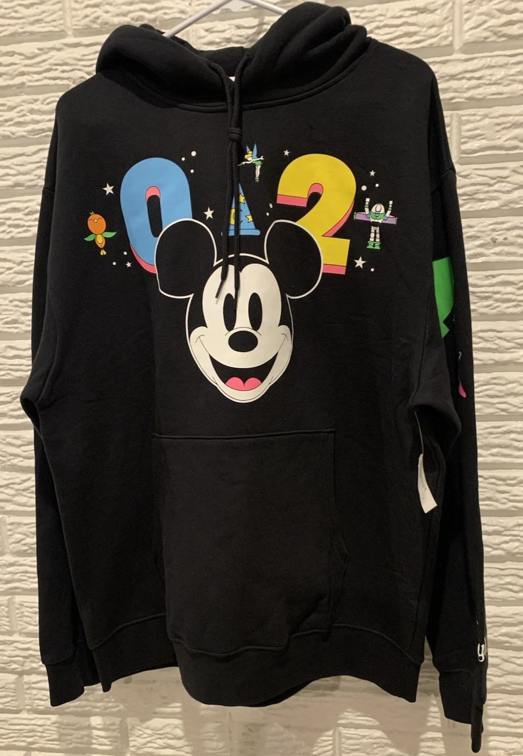 Disneyland Resort 2024 Pullover Hoodie Sweatshirt Unisex Size L Black Graphic
Opens in a new window 