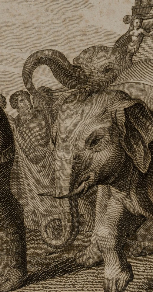 DÖBLER (*1788) nach Unbekannt (19.Jhd), Elephanti victarum gentium,  1819, KSt. - Bild 3 von 4