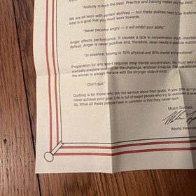 Mike Tyson's Punch-Out Nintendo NES Punchout Original Letter & Manual (writing)