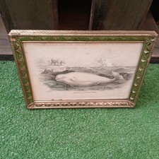 ANTIQUE BELUGA WHITE WHALE PLATE#15 COLORED ILLUSTRATED FRAMED 5 BY 7 READ