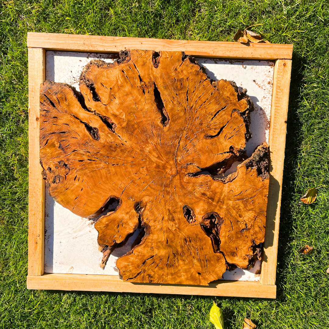 Create An Amazing Live Edge Resin Table With These Olive Wood Burl Pieces